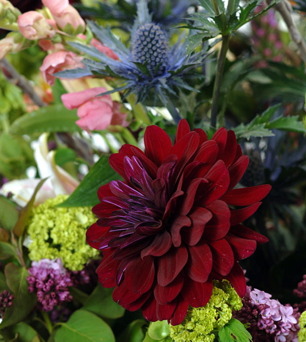 David Jeffrey Florist 