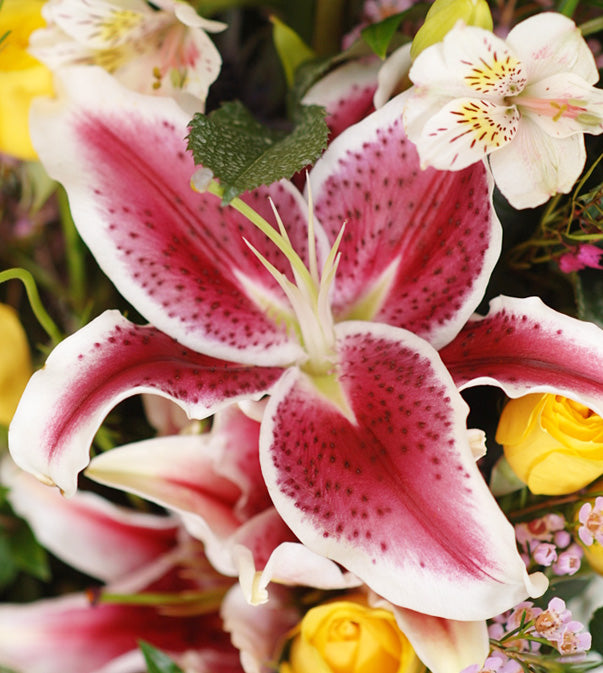 Tributes by David Jeffrey Florist 