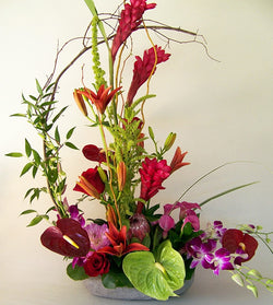 Tropical Flowers by David Jeffrey Florist 