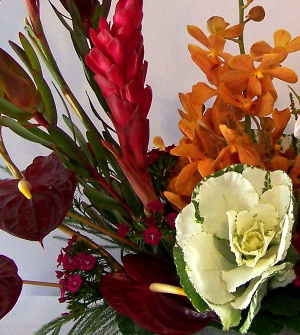 David Jeffrey Florist 