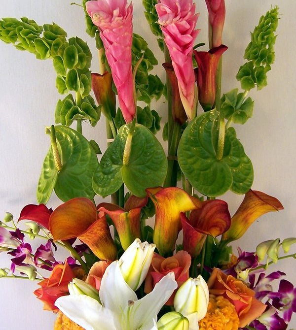 David Jeffrey Florist 