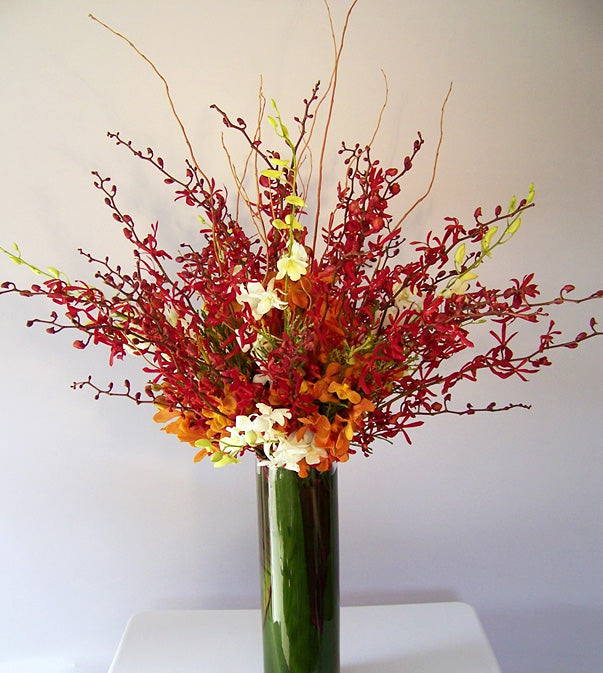 Orchid Ocupulence