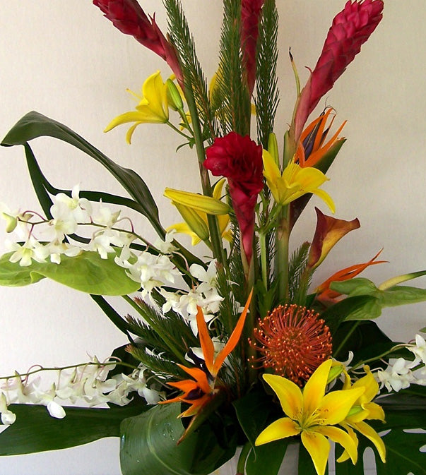 Modern Flowers By David Jeffrey Florist 