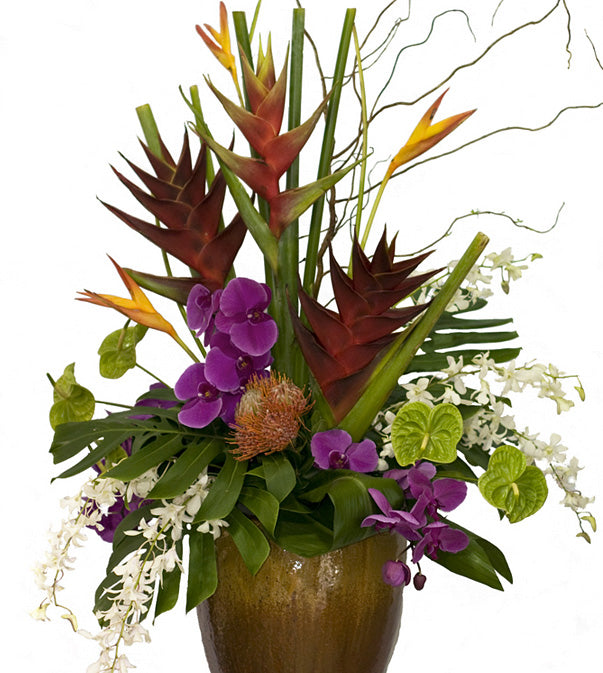 Tropical Extravaganza by David Jeffrey Florist 