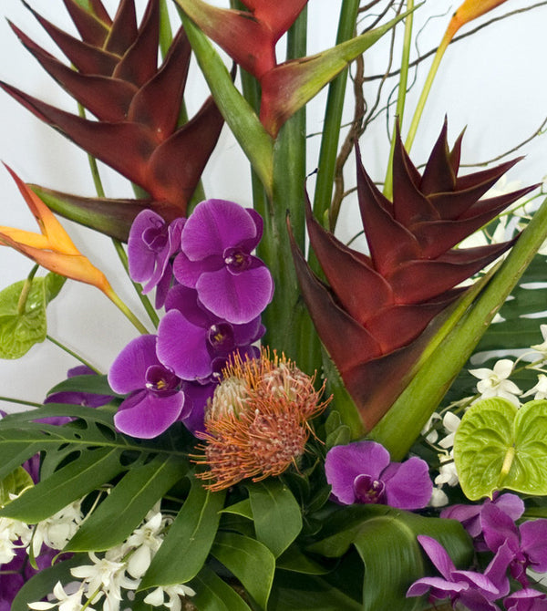 Modern Flowers by David Jeffrey Florist 