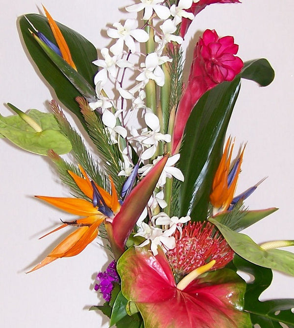 David Jeffrey Florist 