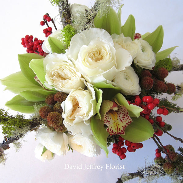 David Jeffrey's Winter